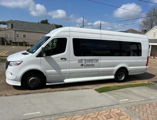 13 Passenger White Mercedes Executive Van